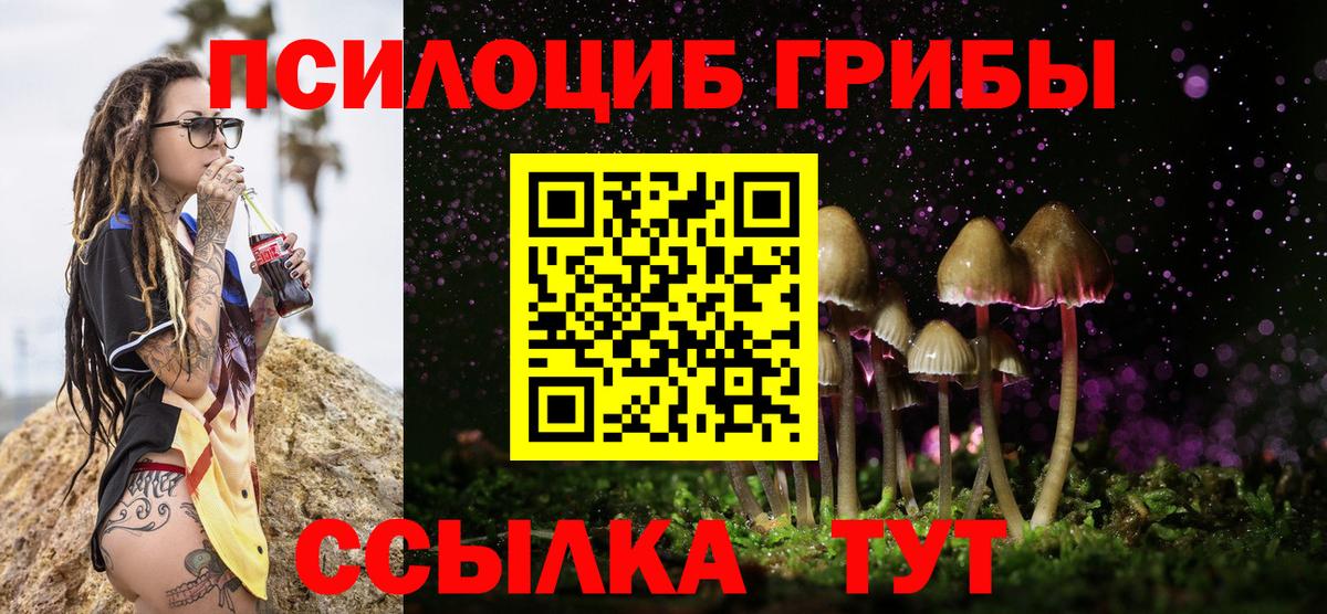 Галлюциногенные грибы Cubensis  Вход с VPN  Урус-Мартан  наркота  Галлюциногенные грибы прущие грибы 
